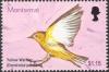 Colnect-1530-034-American-Yellow-Warbler-Dendroica-petechia.jpg