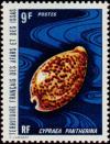 Colnect-792-325-Panther-Cowry-Cypraea-pantherina.jpg