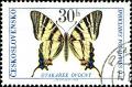 Colnect-5243-440-Scarce-Swallowtail-Iphiclides-podalirius.jpg