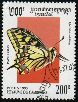 Colnect-1249-661-Scarce-Swallowtail-Iphiclides-podalirius.jpg