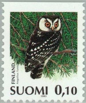 Colnect-160-190-Boreal-Owl-Aegolius-funereus.jpg