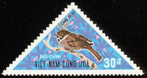 Colnect-2279-024-Eurasian-Tree-Sparrow-Passer-montanus-ssp-malaccensis.jpg