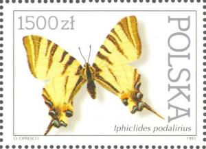 Colnect-2591-193-Scarce-Swallowtail-Iphiclides-podalirius.jpg