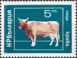 Colnect-4024-244-Domestic-Cow-Bos-primigenius-taurus.jpg