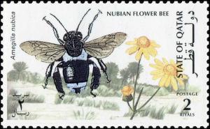 Colnect-4169-072-Nubian-Flower-Bee-Amegilla-nubica-.jpg