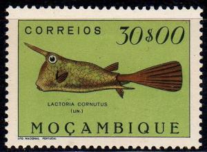 Colnect-595-009-Longhorn-Cowfish-Lactoria-cornutus.jpg
