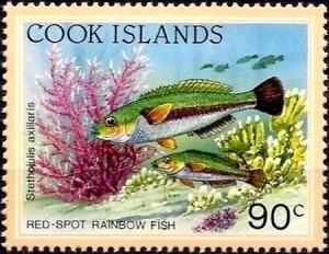 Colnect-6020-001-Redspot-Rainbow-Fish-Stethojulis-axillaris.jpg