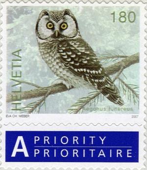 Colnect-699-107-Boreal-Owl-Aegolius-funereus.jpg