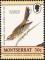 Colnect-1785-018-Lark-Sparrow%C2%A0Chondestes-grammacus--.jpg