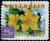 Colnect-2013-731-Guinea-Flower---Hibbertia-scandens.jpg