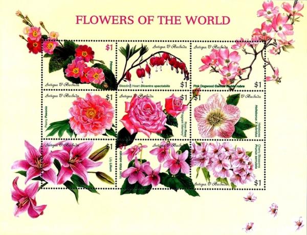 Colnect-4103-322-Flowers-of-the-World.jpg