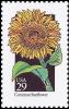 Colnect-5103-799-WildflowersCommon-Sunflower.jpg