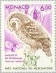 Colnect-149-609-Boreal-Owl-Aegolius-funereus.jpg