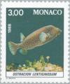 Colnect-149-259-White-spotted-Boxfish-Ostracion-lentiginosus-.jpg