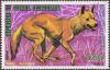 Colnect-2535-309-Dingo-Canis-lupus-dingo.jpg