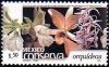 Colnect-313-205-Mexico-Conserva--orchids-.jpg