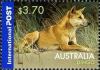 Colnect-420-435-Dingo-Canis-lupus-dingo.jpg