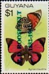 Colnect-4759-236-Morpho-deidamia-butterfly.jpg