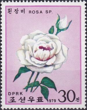Colnect-3823-245-As-No-1825---White-rose.jpg