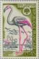 Colnect-144-702-Greater-Flamingo-Phoenicopterus-ruber-roseus.jpg
