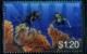 Colnect-4711-738-Two-divers-and-coral.jpg