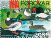 Faroese_stamp_605_ducks.jpg