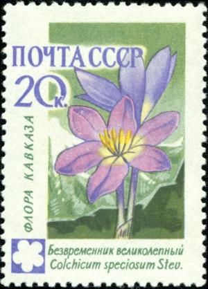 Soviet_Union_stamp_1960_CPA_2495.jpg