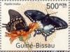 Colnect-5413-978-Papilio-trollus.jpg