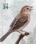 Colnect-2783-140-Bachman--s-Sparrow-Aimophila-aestivalis.jpg
