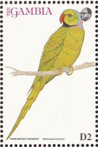 Colnect-1462-500-Rose-ringed-Parakeet-Psittacula-krameri.jpg