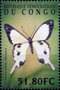Colnect-4926-172-Papilio-dardanus.jpg