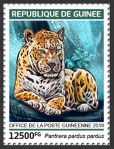 Colnect-5969-127-African-Leopard-Panthera-pardus-pardus.jpg