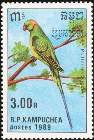 Colnect-1524-621-Rose-ringed-Parakeet-Psittacula-krameri.jpg