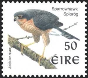 Colnect-1805-756-Eurasian-Sparrowhawk-Accipiter-nisus.jpg