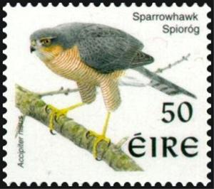 Colnect-1813-228-Eurasian-Sparrowhawk-Accipiter-nisus.jpg