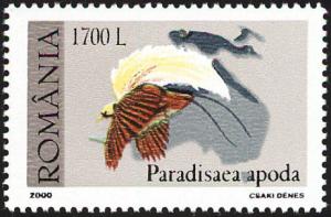 Colnect-3224-841-Greater-Bird-of-paradise-Paradisaea-apoda-apoda.jpg