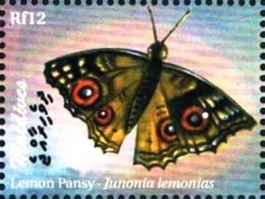 Colnect-3468-556-Lemon-Pansy-Junonia-lemonias.jpg