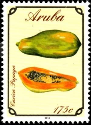 Colnect-3776-363-Papaya-Carica-papaya.jpg