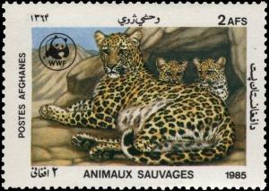 Colnect-5917-341-Leopard-Panthera-pardus-and-Cubs.jpg