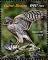 Colnect-5646-383-Eurasian-Sparrowhawk-Accipiter-nisus.jpg