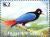 Colnect-2779-484-Blue-Bird-of-paradise-Paradisaea-rudolphi.jpg