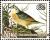 Colnect-4053-226-Grashopper-Sparrow-Ammodramus-savannarum.jpg