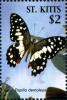 Colnect-3483-455-Papilio-demoleus.jpg