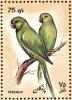 Colnect-1624-232-Rose-ringed-Parakeet-Psittacula-krameri.jpg