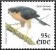 Colnect-1902-307-Eurasian-Sparrowhawk-Accipiter-nisus.jpg