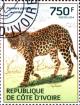 Colnect-3444-477-African-Leopard-Panthera-pardus-pardus.jpg