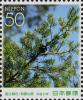 Colnect-4156-797-Japanese-Douglas-Fir.jpg