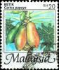 Colnect-3658-858-Papaya-Carica-papaya.jpg
