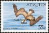Colnect-1659-354-Brown-Pelican---overprinted.jpg