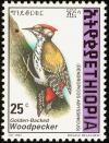 Colnect-2890-975-Abyssinian-Woodpecker-Dendropicos-abyssinicus.jpg